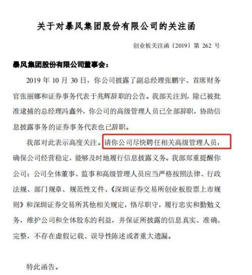 关于对暴风集团股份有限公司的关注函